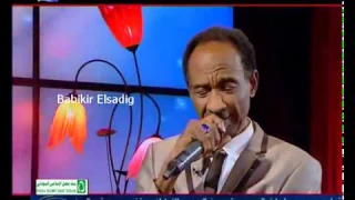 محمود تاور بنساك 
