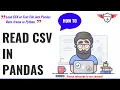 How to use pandas read - csv function Python read