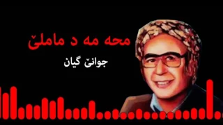               ماملی دندنها