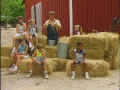 Download Lagu The Donut Man - Barnyard Fun