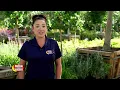 The Moon Valley Difference What Sets Us Apart From Other Nurseries and Garden Centers