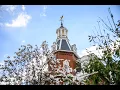 WPI Student Health Portal Walkthrough
