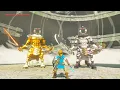 6th anniversary of BotW Defeating six Lynels two Lynels at once three patterns no damage