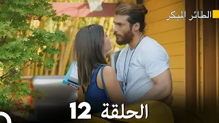 مسلسل الطائر المبكر الحلقة 12 دوبلاج عربي 