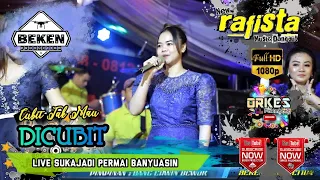 new rafista music cubit tak mau dicubit live sukajadi wd sasha and arman beken production