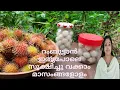 Malaysian Rumbutan Fruit Preservation at to Preserve Rambutan for Months
