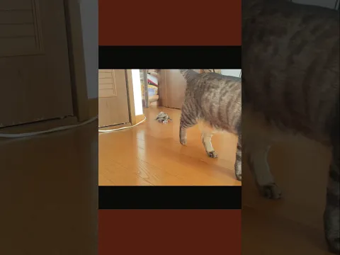 磁石ついてる?