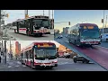 TTC Bus 183