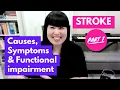 Stroke Part 1 Overview Functional Impairment OT Miri