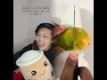 Download Lagu janji ga pantun  🤪😎