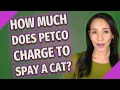 HOW MUCH DOES Petco charge to spay a cat