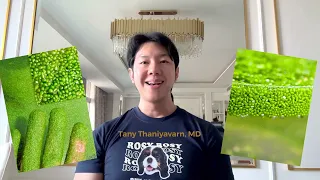 ผำสามารถใช้ในการตรวจสอบคุณภาพน้ำได้อย่างไร