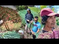Download Lagu I spent the day with the farmers in the mountains ⛰️ Philippines 🇵🇭