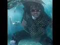 Who You Foolin - Gunna