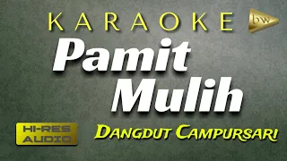 Download Karaoke Pamit Mulih MP3