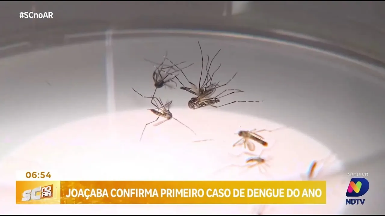 Joaçaba registra primeiro caso de dengue em 2024