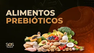OS PREBIÓTICOS QUE AUMENTAM AS BACTÉRIAS BOAS!