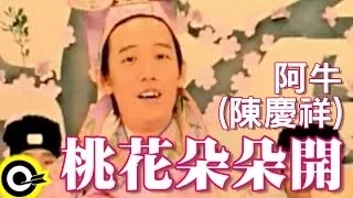  a niu tan kheng seong official music video