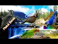 Download Lagu Masteran Istimewa Cililin / Rambatan / Platuk Beras / Love Bird . ini sangat di cari pemain kicau
