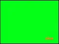Nickelodeon Screen Bug 2014-2017