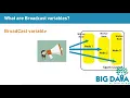 Spark Broadcast variable