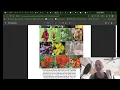 Plant Systematics An Aggressive and Abusive Approach
