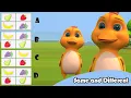 Same and Different for Preschool and Kindergarten Comparison for Kids Kids Learning s