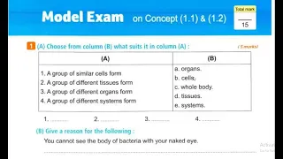 Grade 6 Self Assessment S Answer حل كتاب الامتحانات المعاصر سنة ستة 