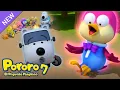 Lagu Pororo La Serie 7 | #2 Harry se ha vuelto un gigante | S7 EP 2 | Pororo en Español