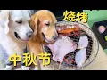 Download Lagu 中秋节在家烧烤，两只金毛被馋得不行…