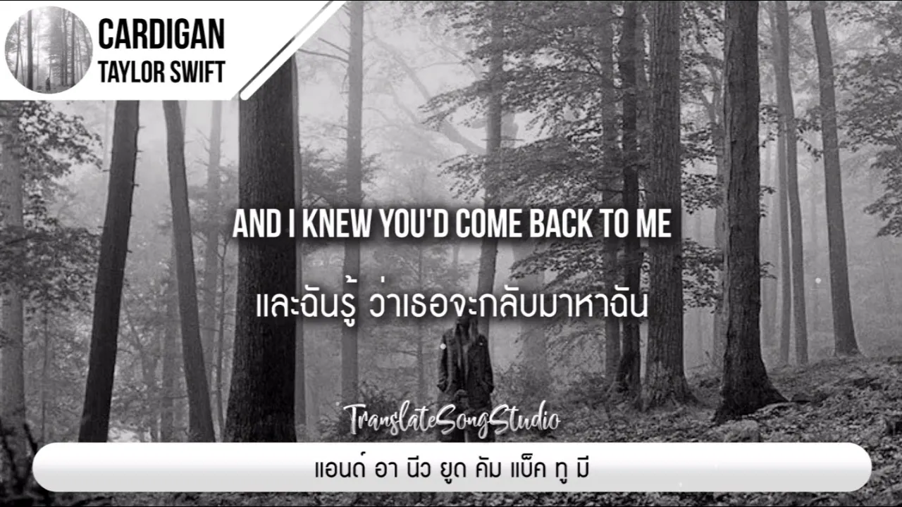 แปลเพลง cardigan - Taylor Swift