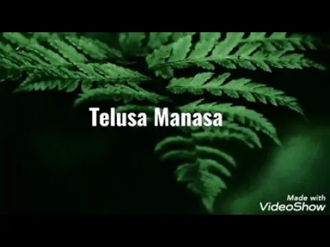 Download MP3 telusa manasa song new lyrics