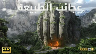                                                                                 دندنها