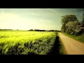 Download Lagu Different Heaven - Safe And Sound [NCS Release]