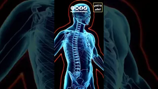 سبب إرتفاع درجة حرارة الجسم عند المرض 