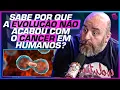 Download Lagu SUPER EXPLICAÇÃO de COMO FUNCIONA a EVOLUÇÃO na PRÁTICA - TRÊS ELEMENTOS, CARLOS, EMILIO E KAMILA