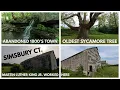 Simsbury Connecticut Abandoned 1800 s Town Oldest Sycamore MLK Jr s Historic Tobacco Farm Workplace