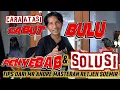 Download Lagu CARA ATASI MURAI CABUT BULU | PENYEBAB DAN SOLUSI MURAI CABUT BULU 