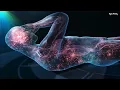 Body Healing and DNA Regeneration, Boost Immune System, Meditation - Whole Body Rejuvenation