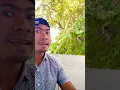 Download Lagu Siul-Siulan. Godain Siapa?🤧🤣🤣🤣🤣🤣#shorts #shortvideo