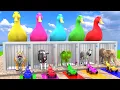 Download Lagu Long Slide Game With Cow Elephant Tiger Zebra T-Rex - 3d Animal Game - Funny 3d Animals