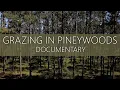 Grazing the Longleaf Pine Savanna Documentary