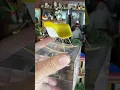 scale Eames Rocker by Michael Yurkovic Atomic Miniature