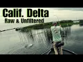 Download Lagu California Delta/Unfiltered Emotions.