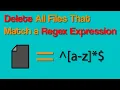 Delete All Files That Match a Regex Expression - Python Automation