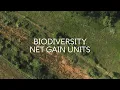 Biodiversity Net Gain - What is it and how can BNG be delivered in the South West