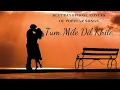Tum  Mile  Dil  Khile Lo-fi  Mashup  Songs 