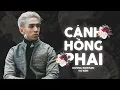 Download Lagu Cánh Hồng Phai Remix | Dương Edward x VU KEM