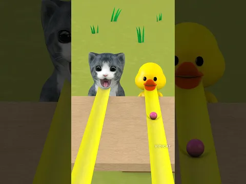 Duck and cat playing with measuring tape and candies #duck #funny
