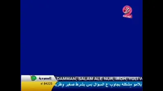 طيور الجنة 2 شاشة مباشر ازرق 2008  طيور الجنة 2 شاشة مباشر ازرق 2008
